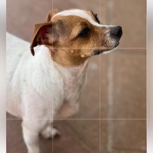 LIVE SHOW 🎉🎉🎉🌈🌈🌈🌈👗👗👗